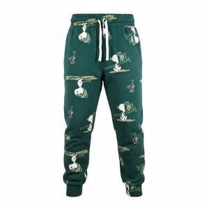 Peanuts Boys' Snoopy Ski School Fleece Graphic Jogger Pants -Green Youth L 10-12